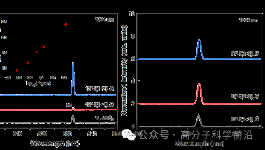 特朗普上任在即 “三把火”烧得,聚宝盆高手资料,决策资料解释落实_免费版V2.3