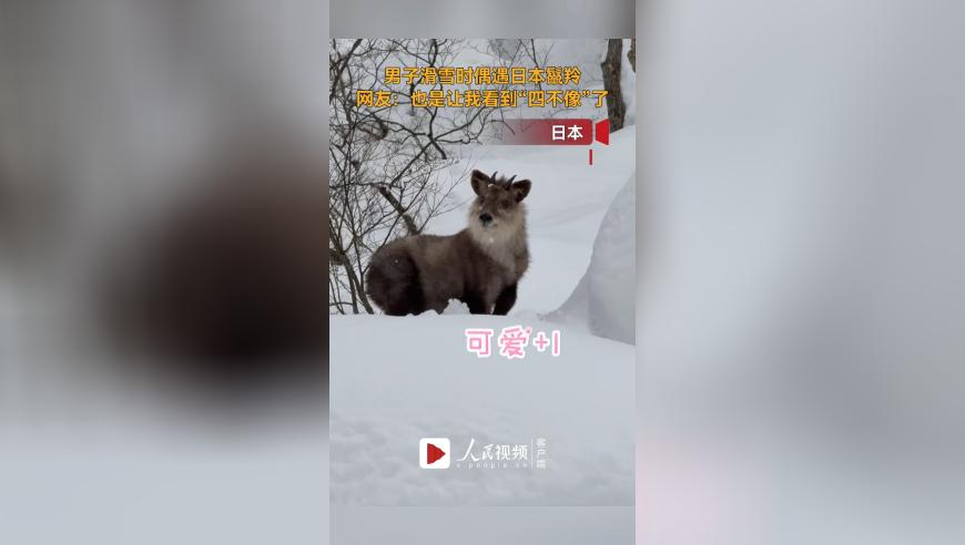 7777788888开奖结果香港王中王,巨人莱纳声优结婚,机构预测与落实方法揭秘_iPadV10.47