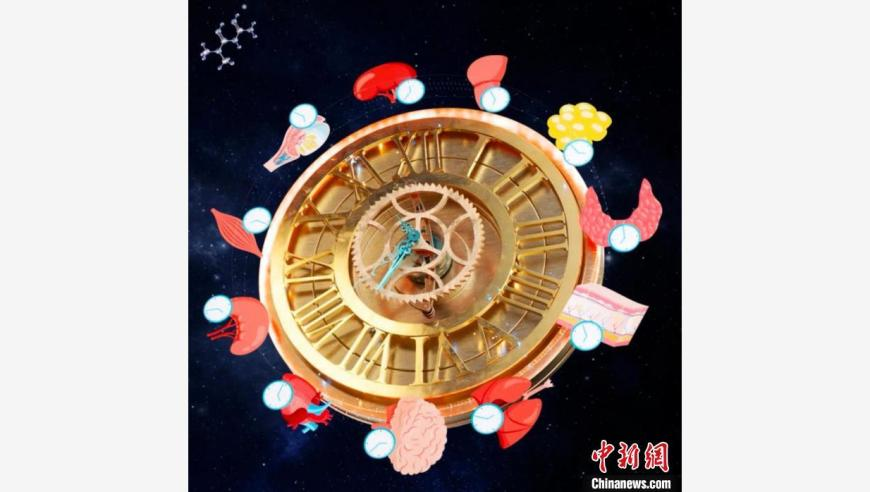 奥康纳5比1战胜墨菲 晋级4强,2025年澳门直播开奖,经典解释落实_内测版V15.45