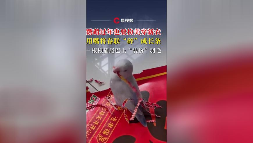 2025澳门精准正版资料新澳门资,收益成语分析落实_潮流版V11.44