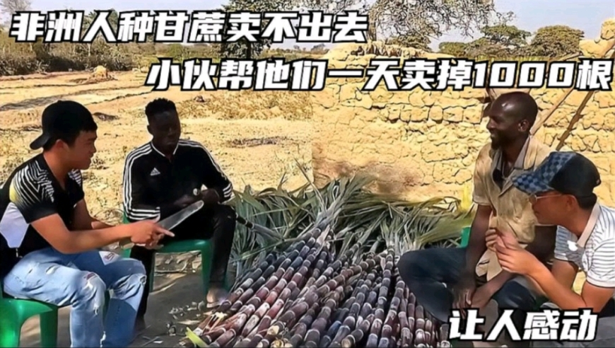 哪吒票房,香港一肖一码2025年开奖结果,最新核心解答落实_黄金版V8.14