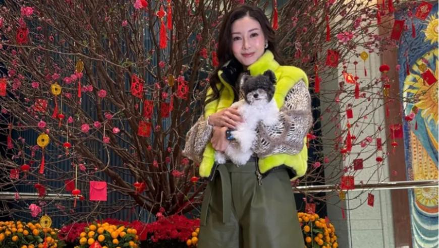 当我试图了解二胎育儿成本,48kccm澳彩正版资料手机版,完美答案解释落实_创新版V12.27