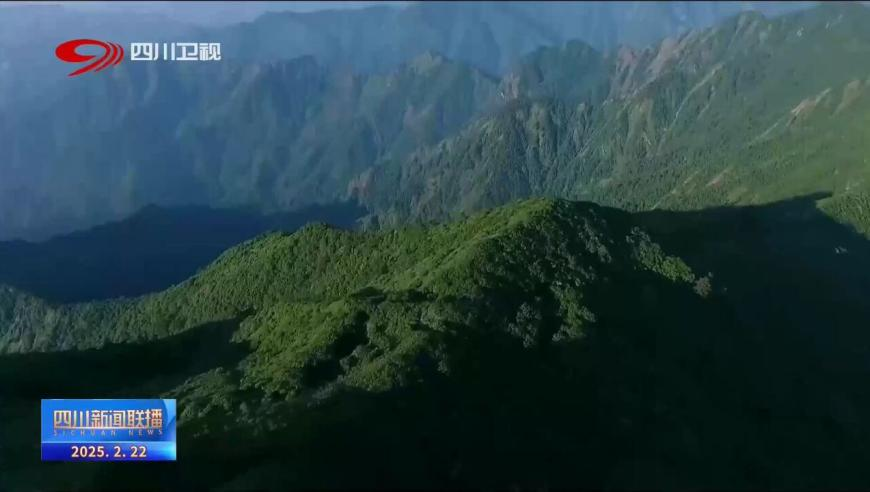 中国队雪上项目19金18银14铜,开马生肖结果查询今晚开奖,展开解析落实_移动版V13.100